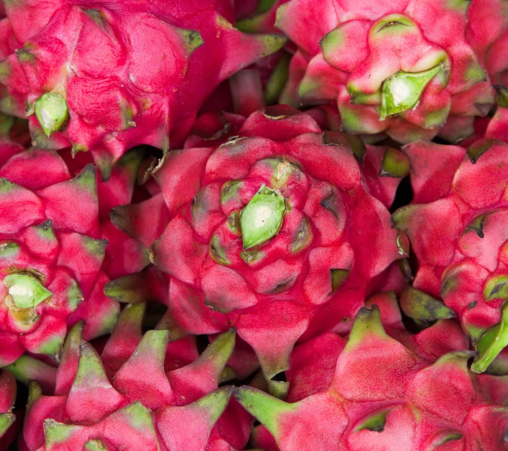 did-you-know-fun-facts-about-dragon-fruit