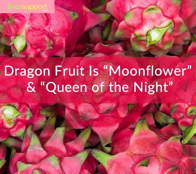 Did You Know? Fun Facts About Dragon Fruit