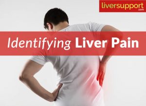 Identifying Liver Pain - LiverSupport.com